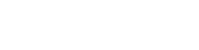 Anne Snyder's signature